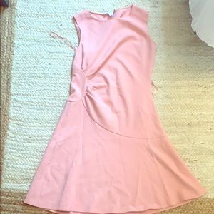 Light pink professional dress